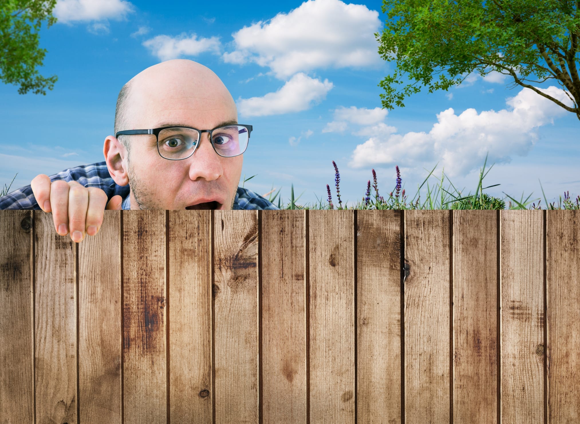 curious neighbor looking over wood fence RDS Environmental Colorado