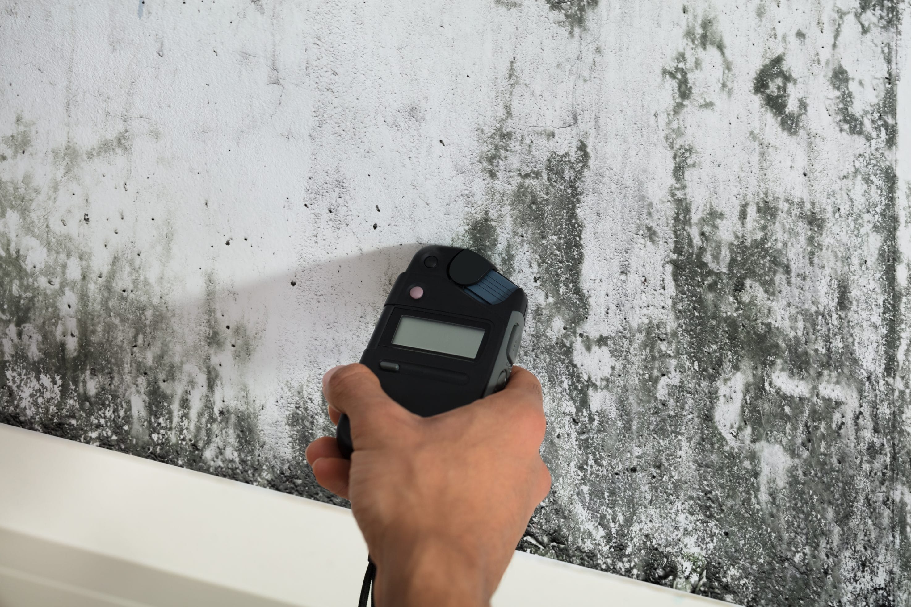 Professional Commercial Mold Testing
