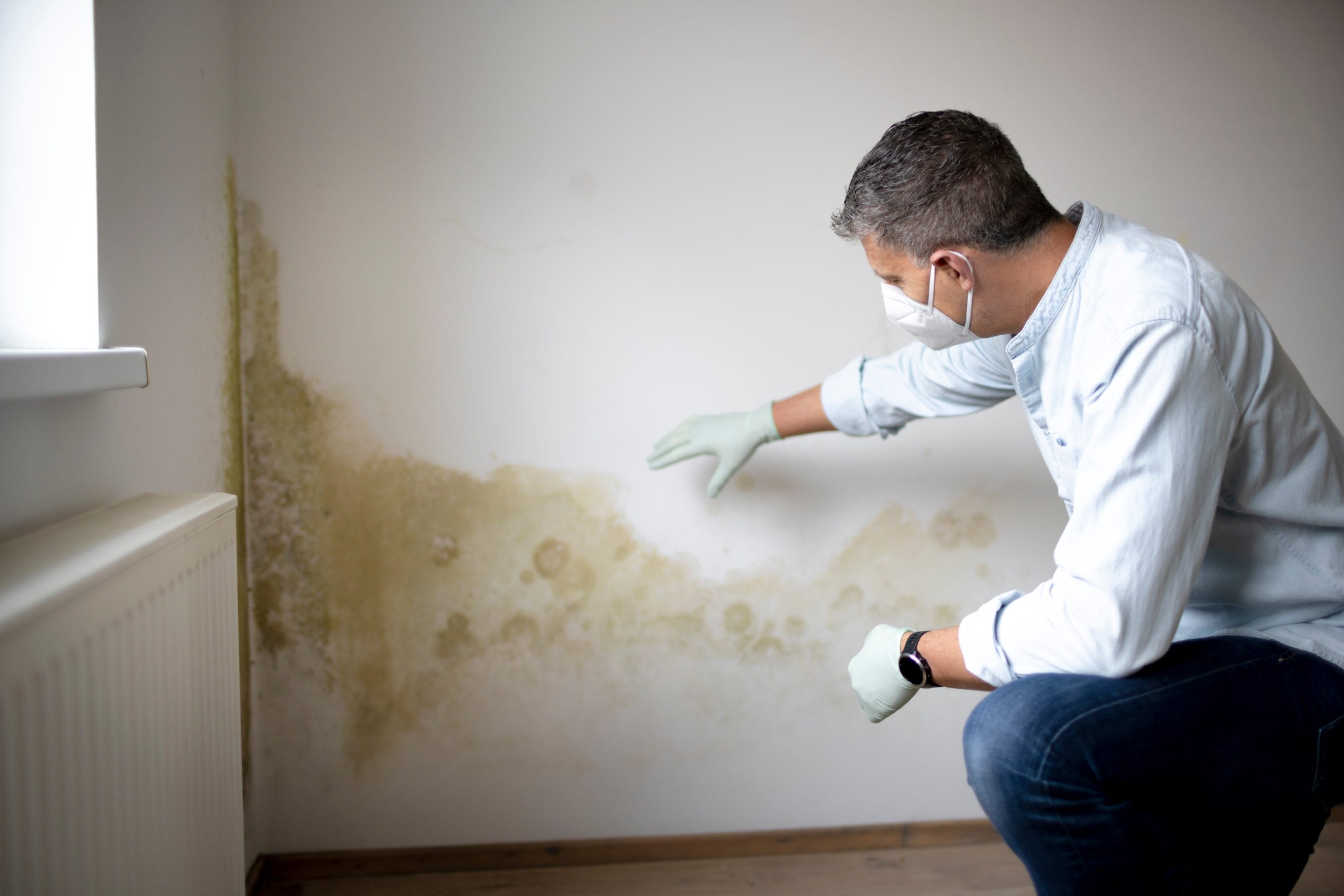 Professional Residential Mold Testing